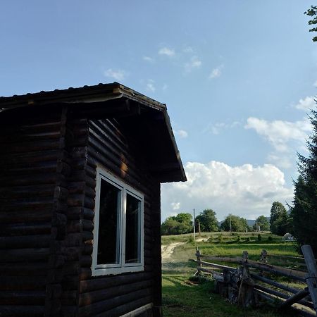 Eco Resort Nad Karpatamy Hrobyshche Rum bild