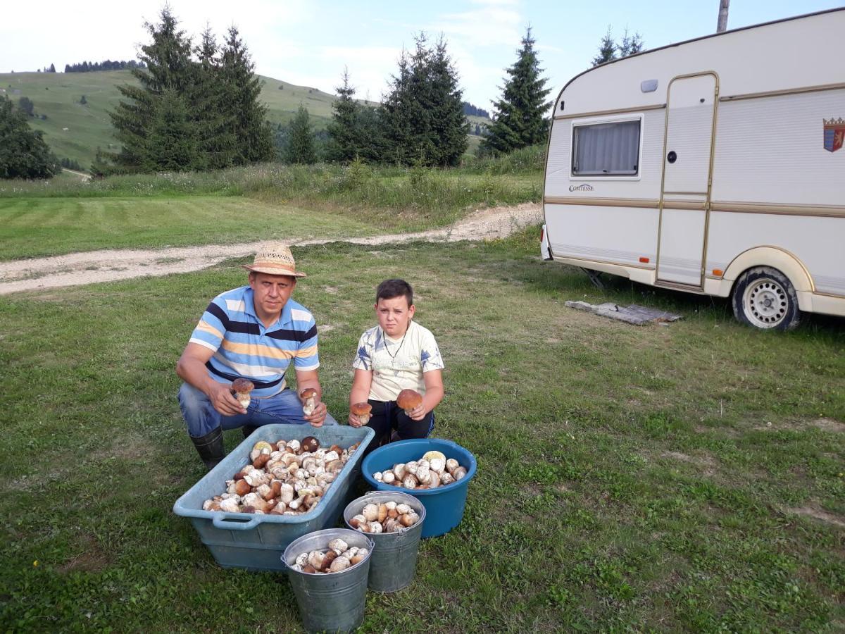 Eco Resort Nad Karpatamy Hrobyshche Exteriör bild