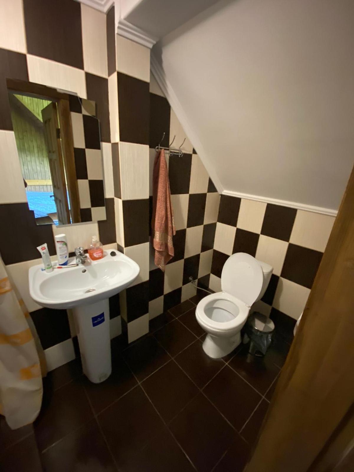 Eco Resort Nad Karpatamy Hrobyshche Rum bild